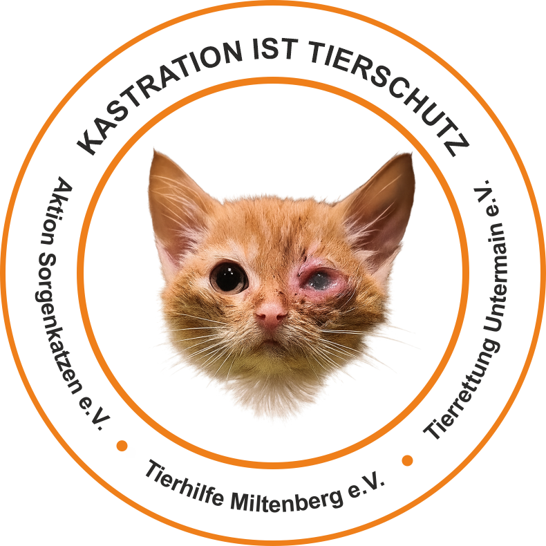 Kastration ist Tierschutz